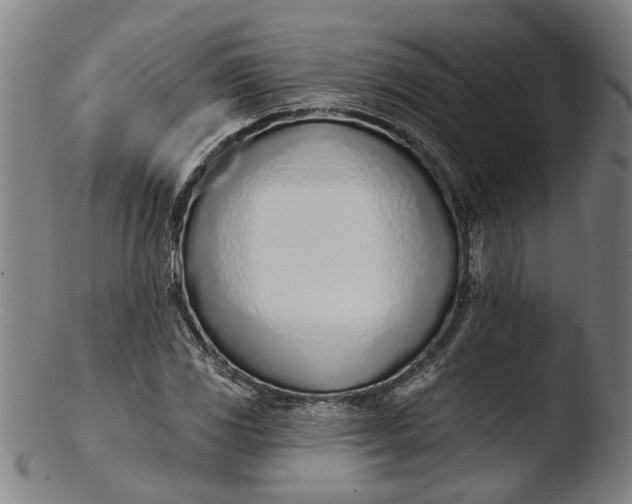 X0000103461117200809261834