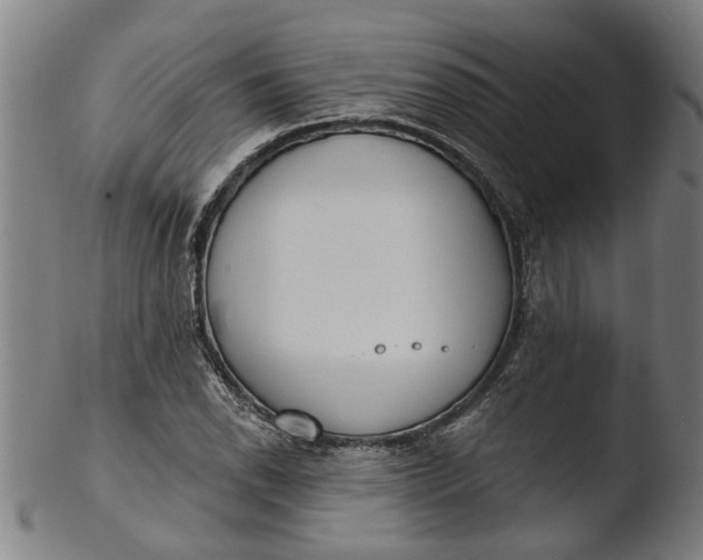 X0000103461118200809261834