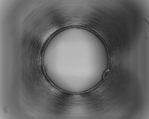 X0000103461119200809261834