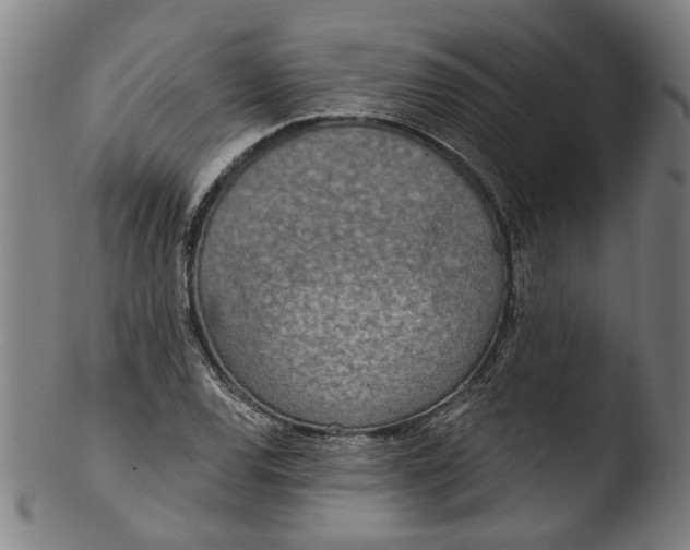 X0000103461120200809261834