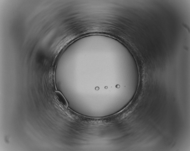 X0000103461121200809261834