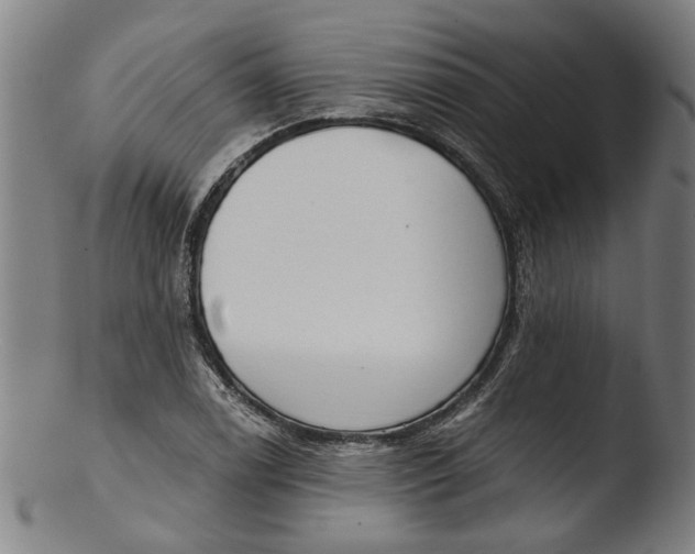 X0000103461122200809261834