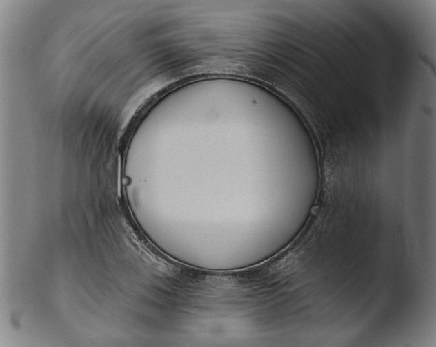 X0000103461123200809261834