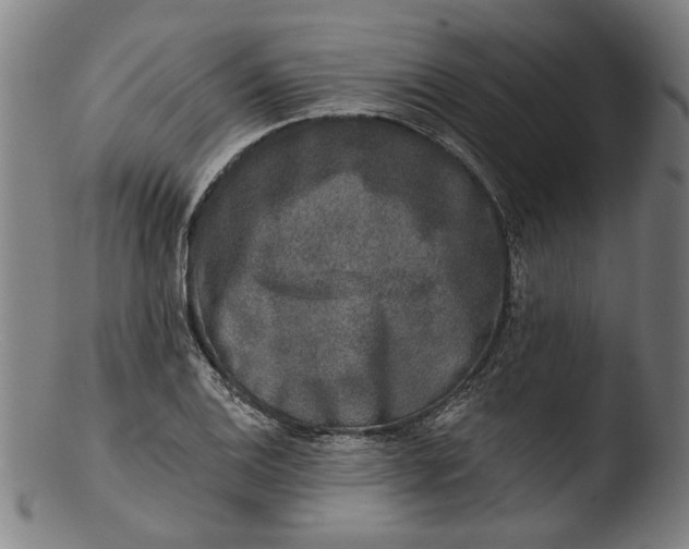 X0000103461124200809261834