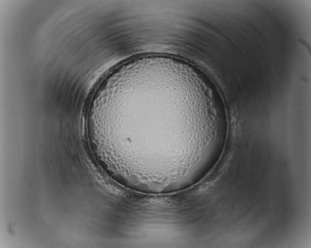 X0000103461125200809261834