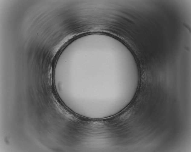 X0000103461126200809261834