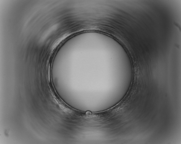 X0000103461127200809261834