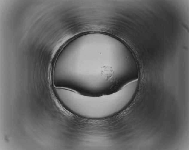 X0000103461128200809261834