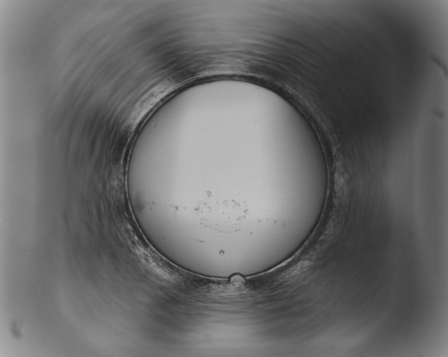 X0000103461129200809261834