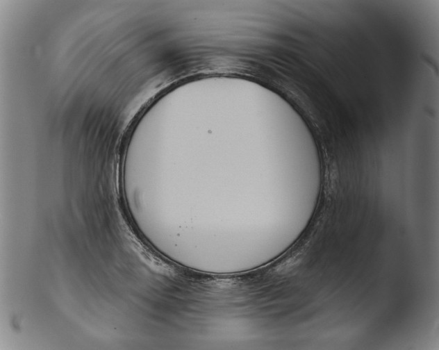 X0000103461130200809261834