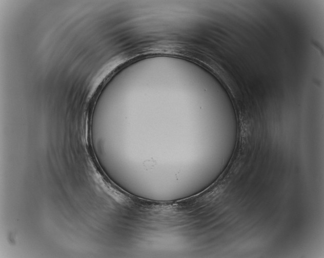 X0000103461131200809261834