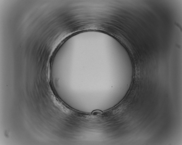 X0000103461132200809261834