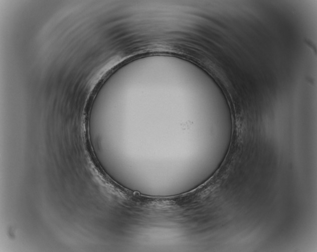 X0000103461133200809261834