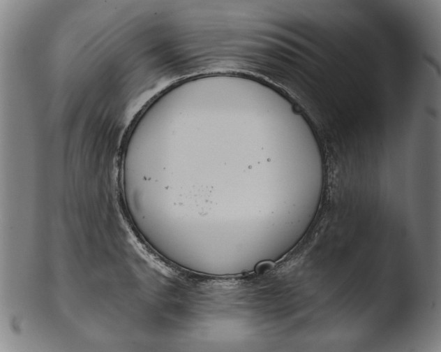 X0000103461134200809261834