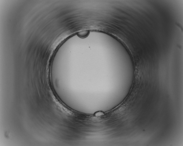 X0000103461135200809261834