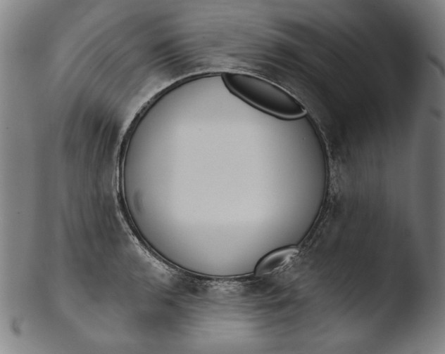 X0000103461136200809261834