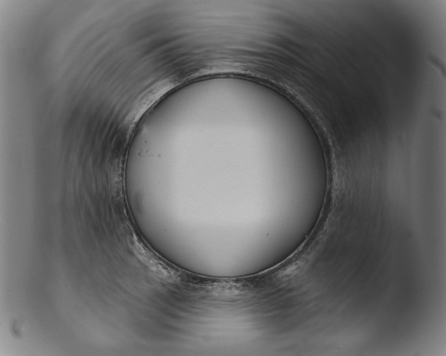 X0000103461137200809261834