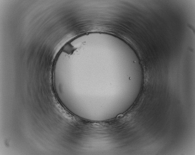 X0000103461138200809261834