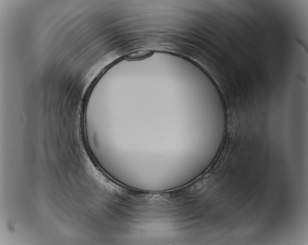 X0000103461139200809261834