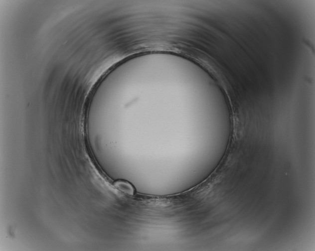 X0000103461141200809261834