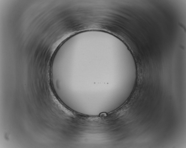 X0000103461142200809261834