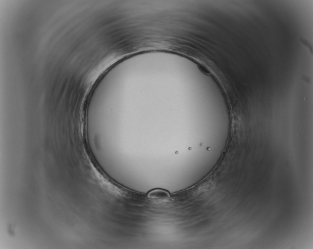 X0000103461143200809261834