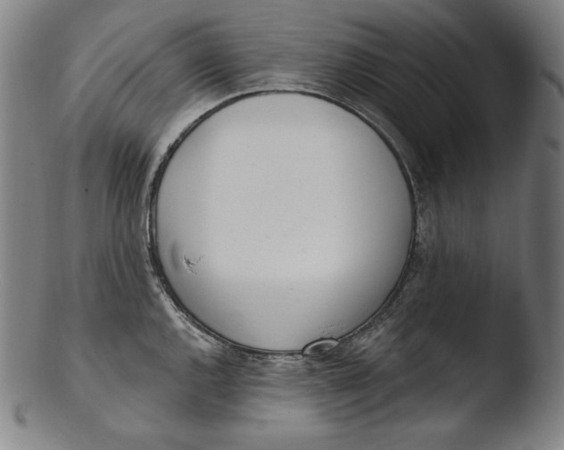 X0000103461144200809261834