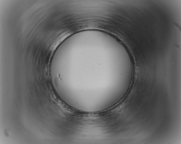 X0000103461145200809261834