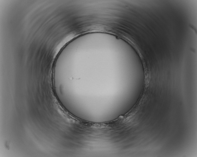 X0000103461146200809261834