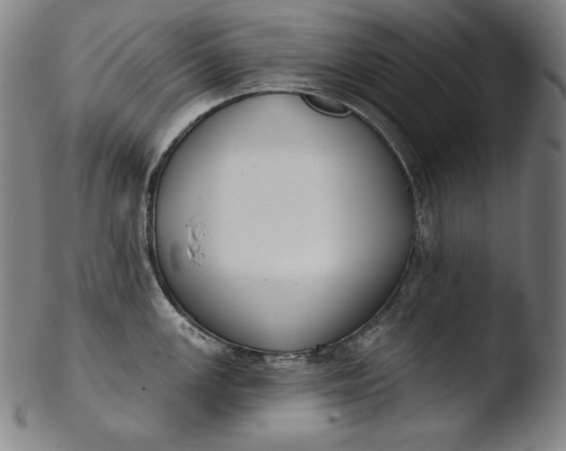 X0000103461147200809261834