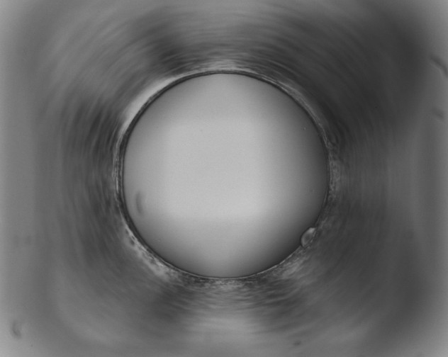 X0000103461148200809261834