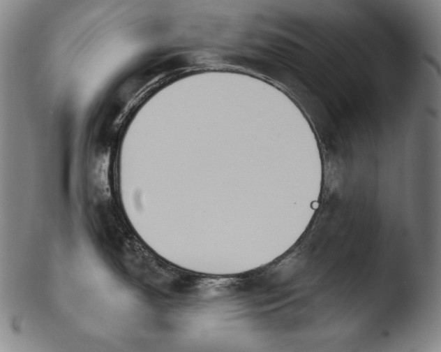 X0000103461150200809261834