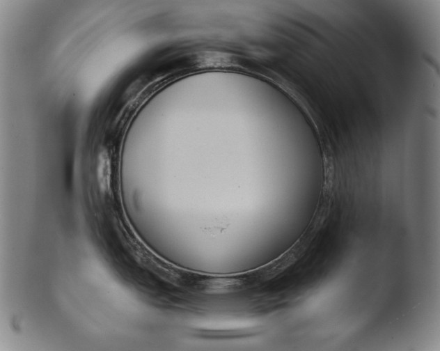 X0000103461151200809261834