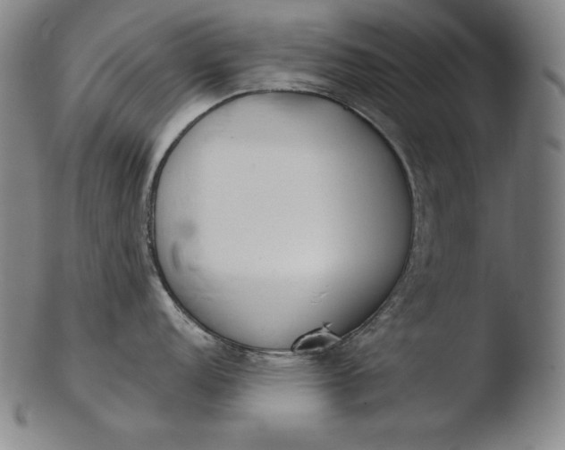 X0000103461152200809261834