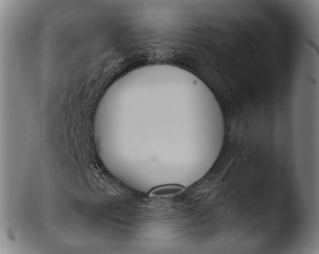 X0000103461153200809261834