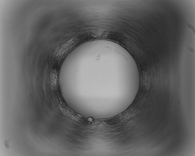 X0000103461154200809261834