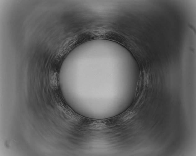 X0000103461156200809261834