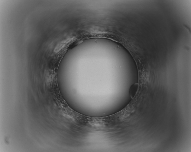 X0000103461157200809261834