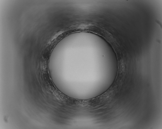 X0000103461158200809261834