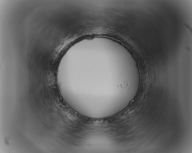 X0000103461160200809261834