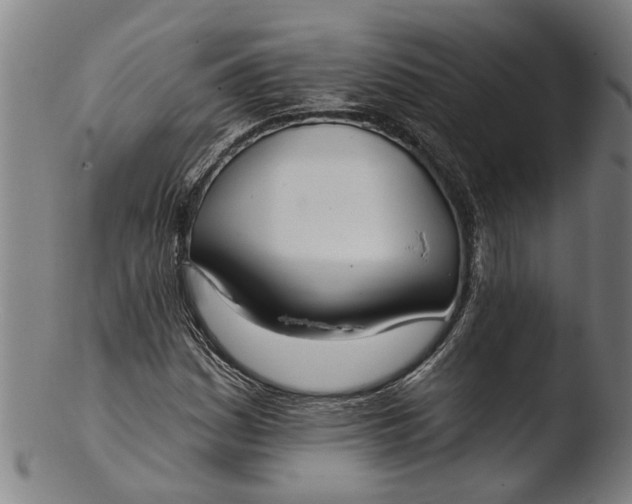 X0000103461161200809261834