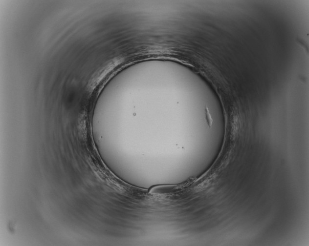 X0000103461162200809261834