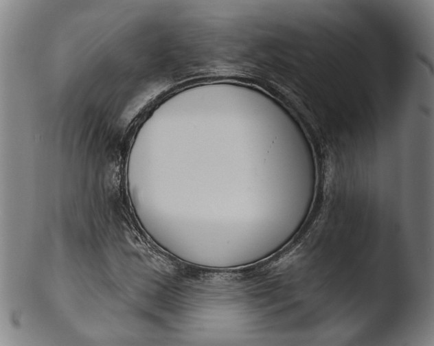 X0000103461163200809261834