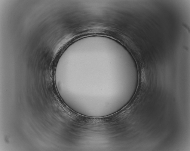 X0000103461164200809261834