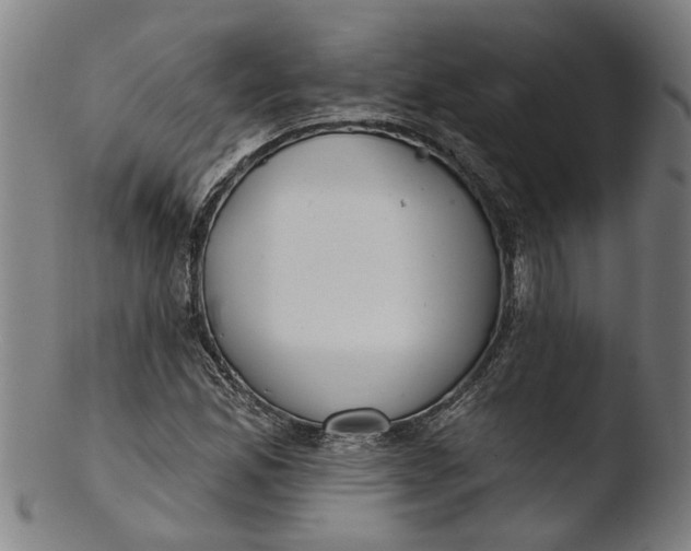 X0000103461165200809261834