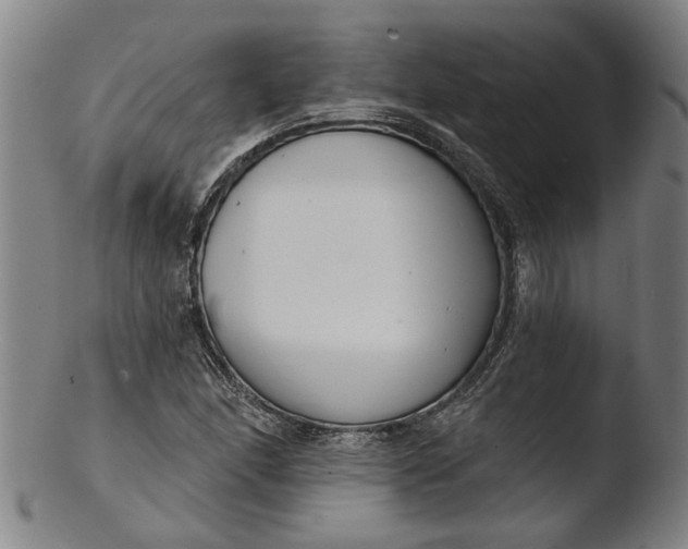 X0000103461166200809261834