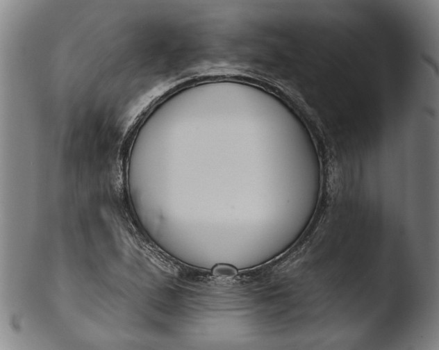 X0000103461167200809261834