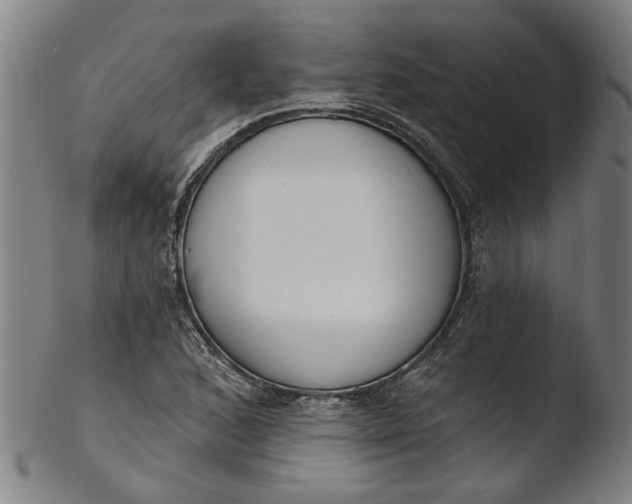 X0000103461168200809261834