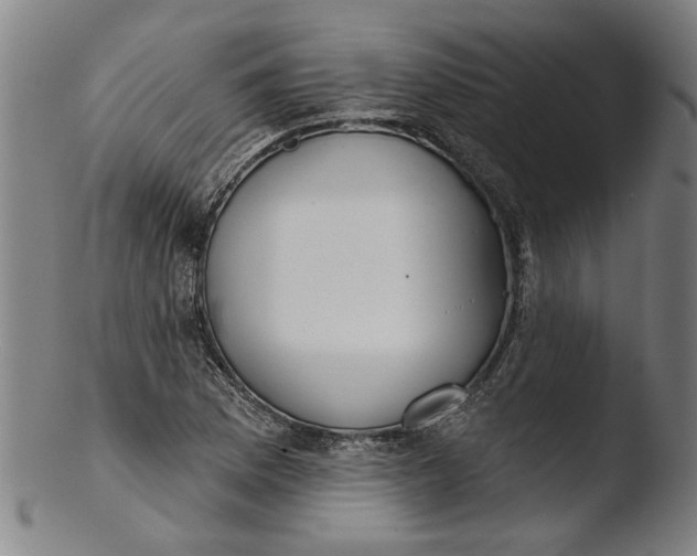 X0000103461169200809261834