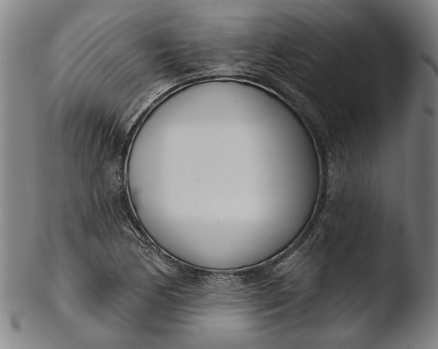 X0000103461170200809261834